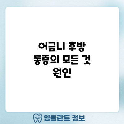 어금니 후방 통증의 모든 것: 원인