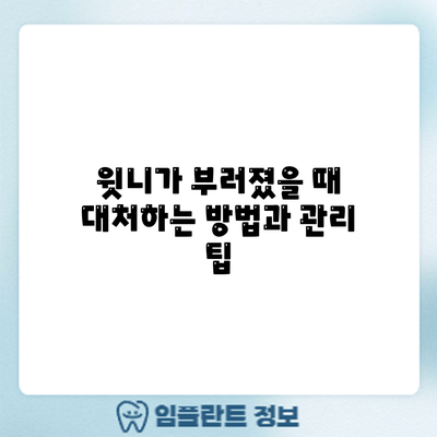 윗니가 부러졌을 때 대처하는 방법과 관리 팁