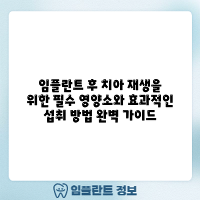 임플란트 후 치아 재생을 위한 필수 영양소와 효과적인 섭취 방법 완벽 가이드