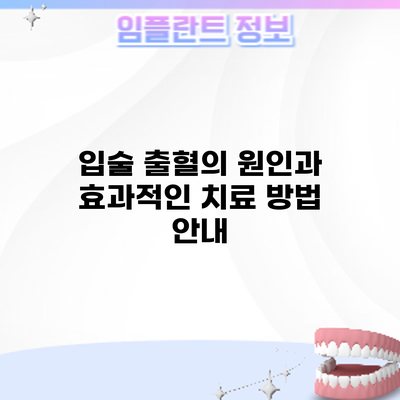 입술 출혈의 원인과 효과적인 치료 방법 안내