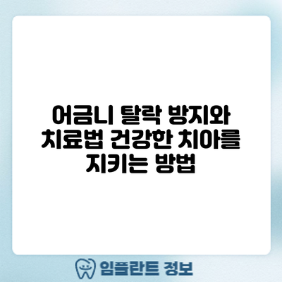 어금니 탈락 방지와 치료법: 건강한 치아를 지키는 방법
