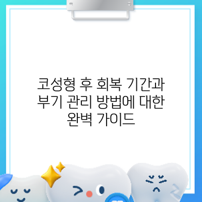 코성형 후 회복 기간과 부기 관리 방법에 대한 완벽 가이드
